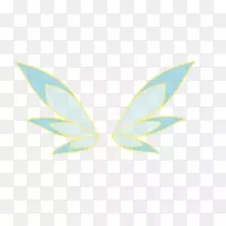 �������洫�۶��������-������