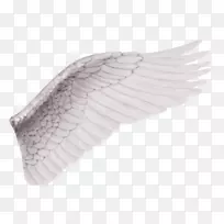天使剪贴画-翅膀材料-空若网 天使剪贴画-翅膀材料-空若网