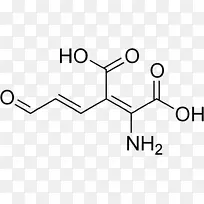 天冬氨酸氨基酸丙氨酸蛋氨酸-CAR结构-空若网 天冬氨酸氨基酸丙氨酸蛋氨酸-CAR结构-空若网