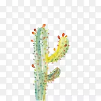 ÏÉÈËÕÆ¿ÆË®²Ê»ÏÉÈËÕÆ-¿ÕÈôÍø ÏÉÈËÕÆ¿ÆË®²Ê»ÏÉÈËÕÆ-¿ÕÈôÍø