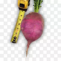 ��˸��߲��ܲ�ʳ�ܲ���Ҷˮ��-������