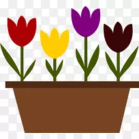 �����ͼ������.����-������