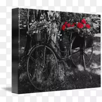 �ڰ׵�ɫ��Ӱ���Ȱ�����������-�������г�-������