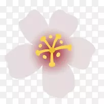 开花植物花瓣紫罗兰-冷花载体-空若网 开花植物花瓣紫罗兰-冷花载体-空若网