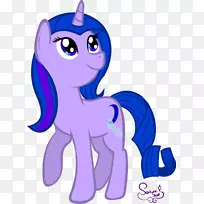 马匹薰衣草紫罗兰-空若网 马匹薰衣草紫罗兰-空若网