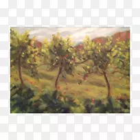 彩绘园林树枝果园-空若网 彩绘园林树枝果园-空若网