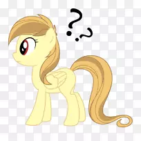 ����-����˿����-������