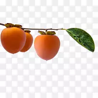 柿子天然食品超级食品当地食物柿子-空若网 柿子天然食品超级食品当地食物柿子-空若网