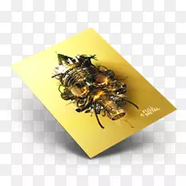 蜜蜂传粉昆虫无脊椎动物-DJ传单模板-空若网 蜜蜂传粉昆虫无脊椎动物-DJ传单模板-空若网