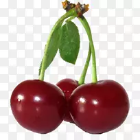 西林格甜樱桃和霍斯特·席林格甜樱桃-平果-空若网 西林格甜樱桃和霍斯特·席林格甜樱桃-平果-空若网