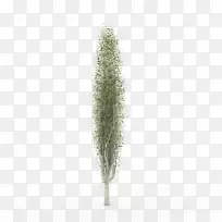 树草植物家庭汽车海报-空若网 树草植物家庭汽车海报-空若网