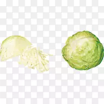 大白菜花椰菜蔬菜卷心菜蔬菜-空若网 大白菜花椰菜蔬菜卷心菜蔬菜-空若网