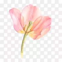 Ë®²Ê»»¨»ÜË®²Ê»Óô½ðÏãË®²Ê»¨Óô½ðÏãË®²Ê»-¿ÕÈôÍø Ë®²Ê»»¨»ÜË®²Ê»Óô½ðÏãË®²Ê»¨Óô½ðÏãË®²Ê»-¿ÕÈôÍø