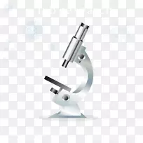 ϸ����΢���۲��ѧ�ʻ���΢��-������