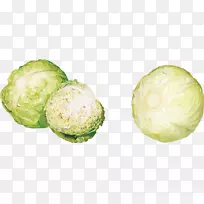 卷心菜-绿叶卷心菜-空若网 卷心菜-绿叶卷心菜-空若网