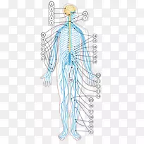 ����ͼ-��ϵͳ-������-��ϵͳ-������