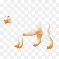 台式机墙纸,手指,鼻子,尾,麦穗-空若网 台式机墙纸,手指,鼻子,尾,麦穗-空若网