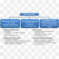 组织图线材料字体翻译效果-空若网 组织图线材料字体翻译效果-空若网