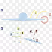线技术材料青年-空若网 线技术材料青年-空若网