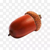 ºËÈÊ-Ïð×ÓPNGͼÏñ-¿ÕÈôÍø ºËÈÊ-Ïð×ÓPNGͼÏñ-¿ÕÈôÍø