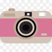 ��������������ݷۺ�ɫ�������-������