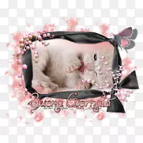 è�����Ӷ����-������-������