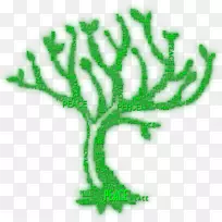 友爱大学,诺伊达发散系列派系比阿特丽斯先发散-空若网 友爱大学,诺伊达发散系列派系比阿特丽斯先发散-空若网