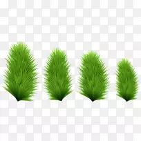 ��ľ����Ҷ��-��֦�ۼ�-������