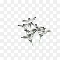 Çл¨²£Á§»¨°êÖ²Îï¾¥²£Á§»¨-¿ÕÈôÍø Çл¨²£Á§»¨°êÖ²Îï¾¥²£Á§»¨-¿ÕÈôÍø