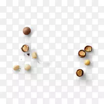 超级食品-澳洲坚果-空若网 超级食品-澳洲坚果-空若网