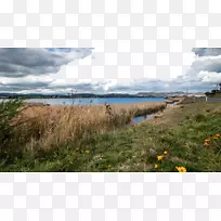 塔斯马尼亚悉尼壁纸-塔斯马尼亚,澳大利亚13-空若网 塔斯马尼亚悉尼壁纸-塔斯马尼亚,澳大利亚13-空若网