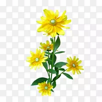 插花艺术-菊花-空若网 插花艺术-菊花-空若网