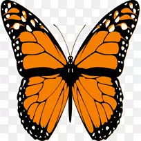 µÛÍõºûµûÀ¥³æ×ܶ½Ã«Ã«³æ-¿¨Í¨ºûµû-¿ÕÈôÍø µÛÍõºûµûÀ¥³æ×ܶ½Ã«Ã«³æ-¿¨Í¨ºûµû-¿ÕÈôÍø