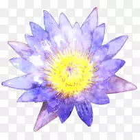 水彩画艺术剪贴画-水彩画荷叶-空若网 水彩画艺术剪贴画-水彩画荷叶-空若网