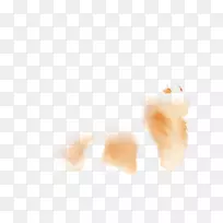 桌面壁纸,耳朵,下巴,鼻子,皮肤.燃烧-空若网 桌面壁纸,耳朵,下巴,鼻子,皮肤.燃烧-空若网