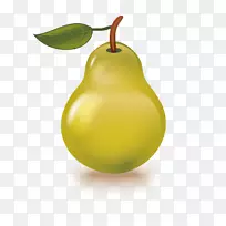 梨果实樱桃载体-梨-空若网 梨果实樱桃载体-梨-空若网