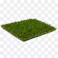 草坪人造草坪地板花园地毯墨水竹材-空若网 草坪人造草坪地板花园地毯墨水竹材-空若网