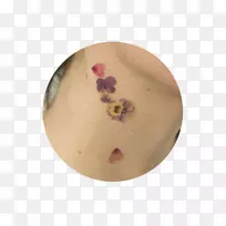 ���Ӳ;�-��������Сѧ��-������