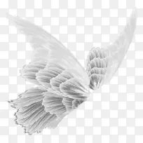 绘制飞机艺术-白色翅膀-空若网 绘制飞机艺术-白色翅膀-空若网