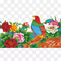 �ٻ�Ѽ��ĵ��Ѽ-������