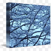 树枝紫罗兰冬至摄影.雪景-空若网 树枝紫罗兰冬至摄影.雪景-空若网