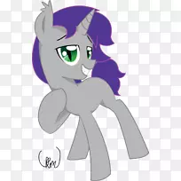 猫马食肉动物-空若网 猫马食肉动物-空若网