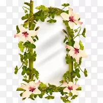 花环-空若网 花环-空若网