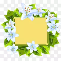 Çл¨»¨»Üͼ°¸»¨ÒÕ.ֽм-¿ÕÈôÍø Çл¨»¨»Üͼ°¸»¨ÒÕ.ֽм-¿ÕÈôÍø