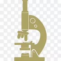 显微镜动画绘图.显微镜动画-空若网 显微镜动画绘图.显微镜动画-空若网