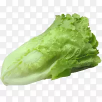 �����տ��߲�-�����տ�-������