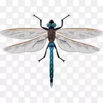 ��������������.�ֻ��Ƶ�����-������