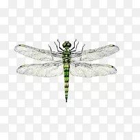 ������������-������