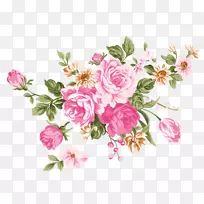 海滩玫瑰花水彩画.水彩画头盒-空若网 海滩玫瑰花水彩画.水彩画头盒-空若网