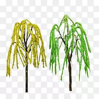 乔枝植物茎草-柳树-空若网 乔枝植物茎草-柳树-空若网